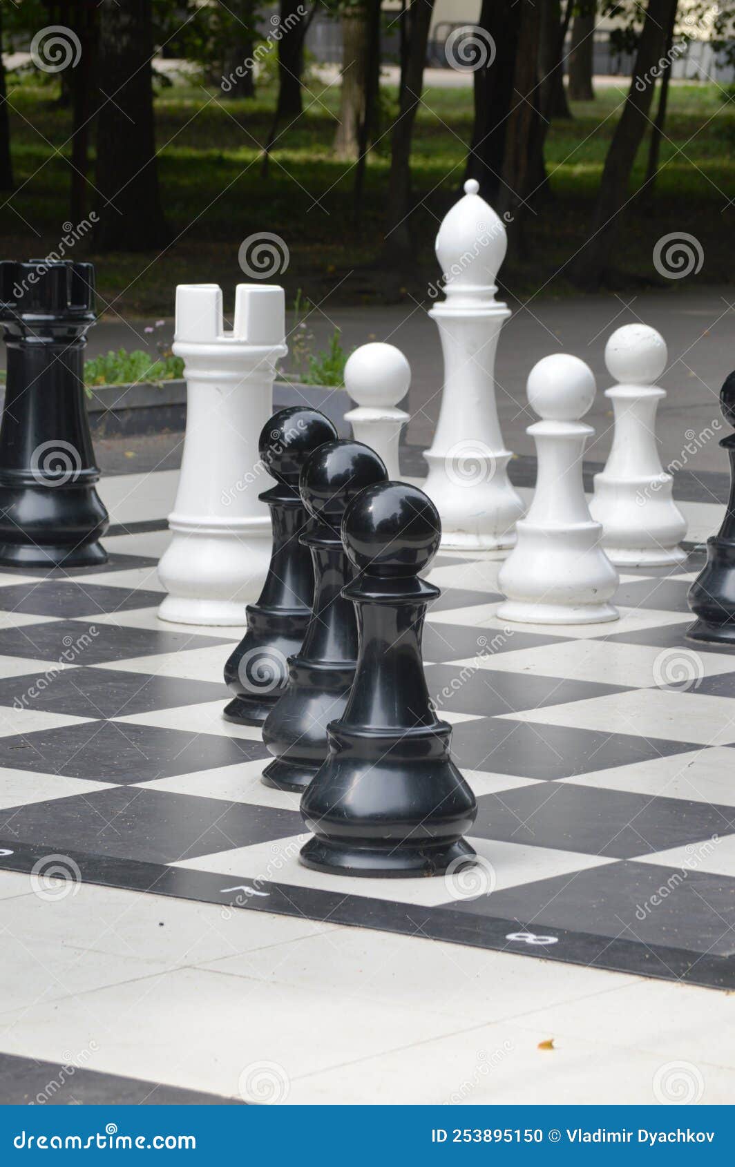 large decorative chess