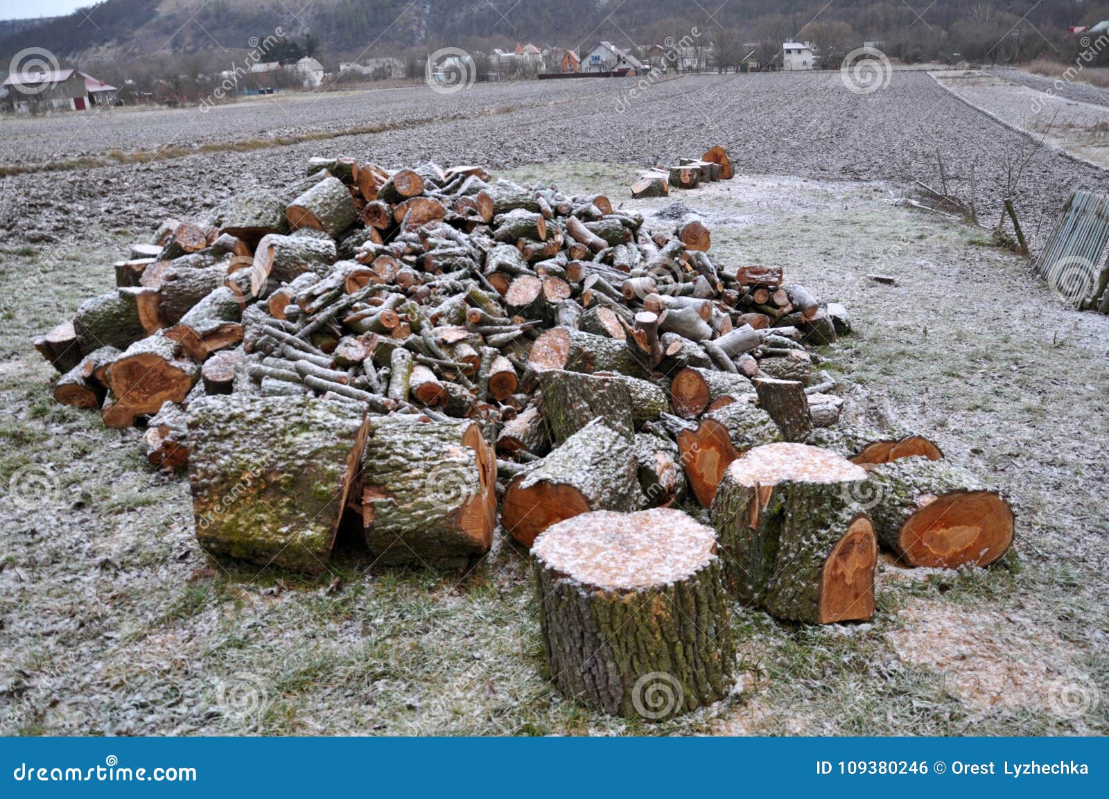 Large diameter firewood stock photo. Image of garden 109380246
