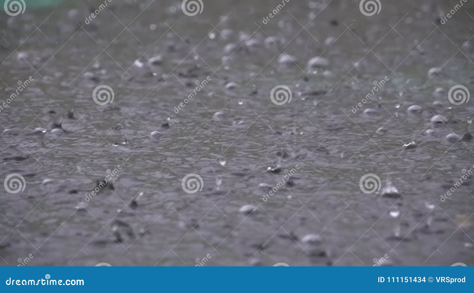 Large Drops of Rain Fall in a Puddle during a Rainstorm. Water Drops in