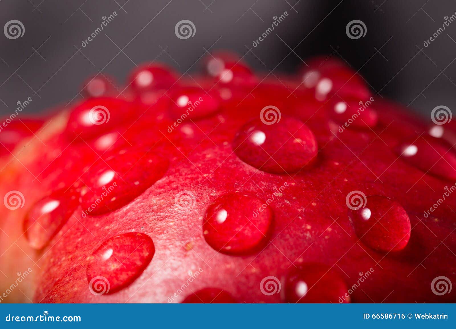 Large Drops of Water on Red Apple Stock Photo Image of fruity, close 66586716