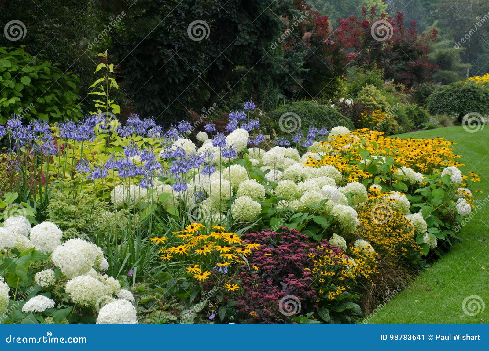 large english perennial border