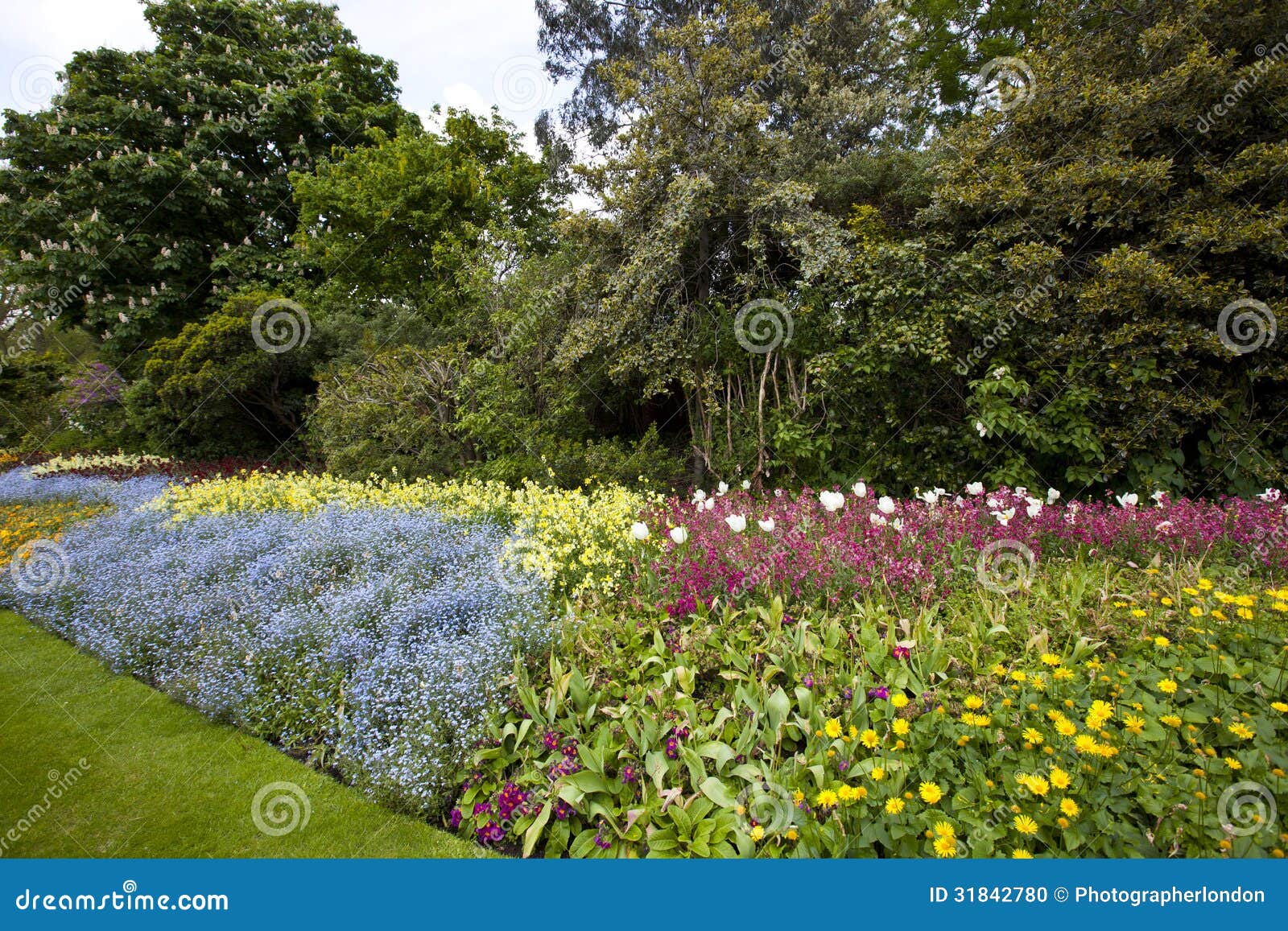 Large flower bed and trees stock photo. Image of london 31842780