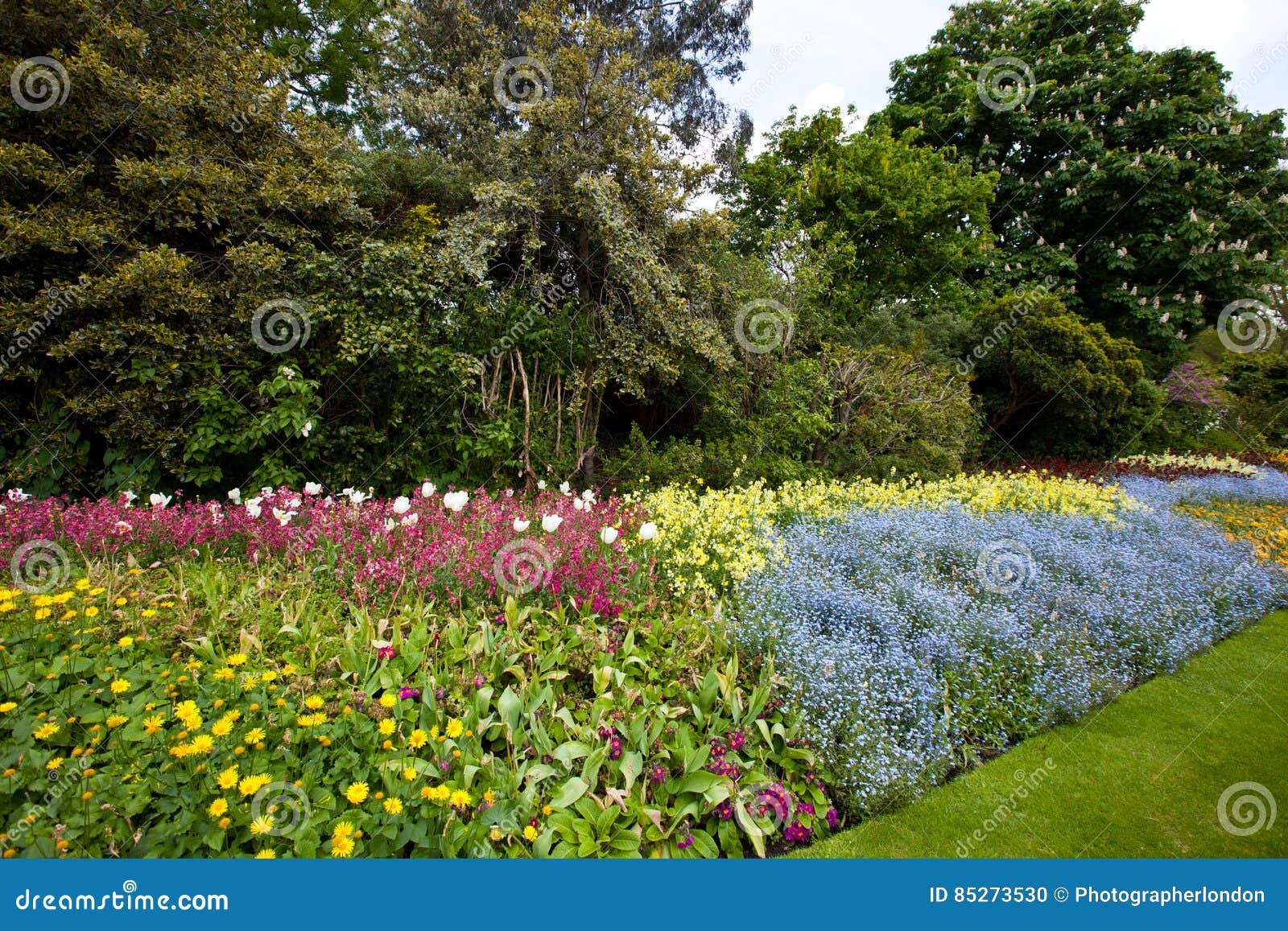 Large flower bed and trees stock photo. Image of environment 85273530