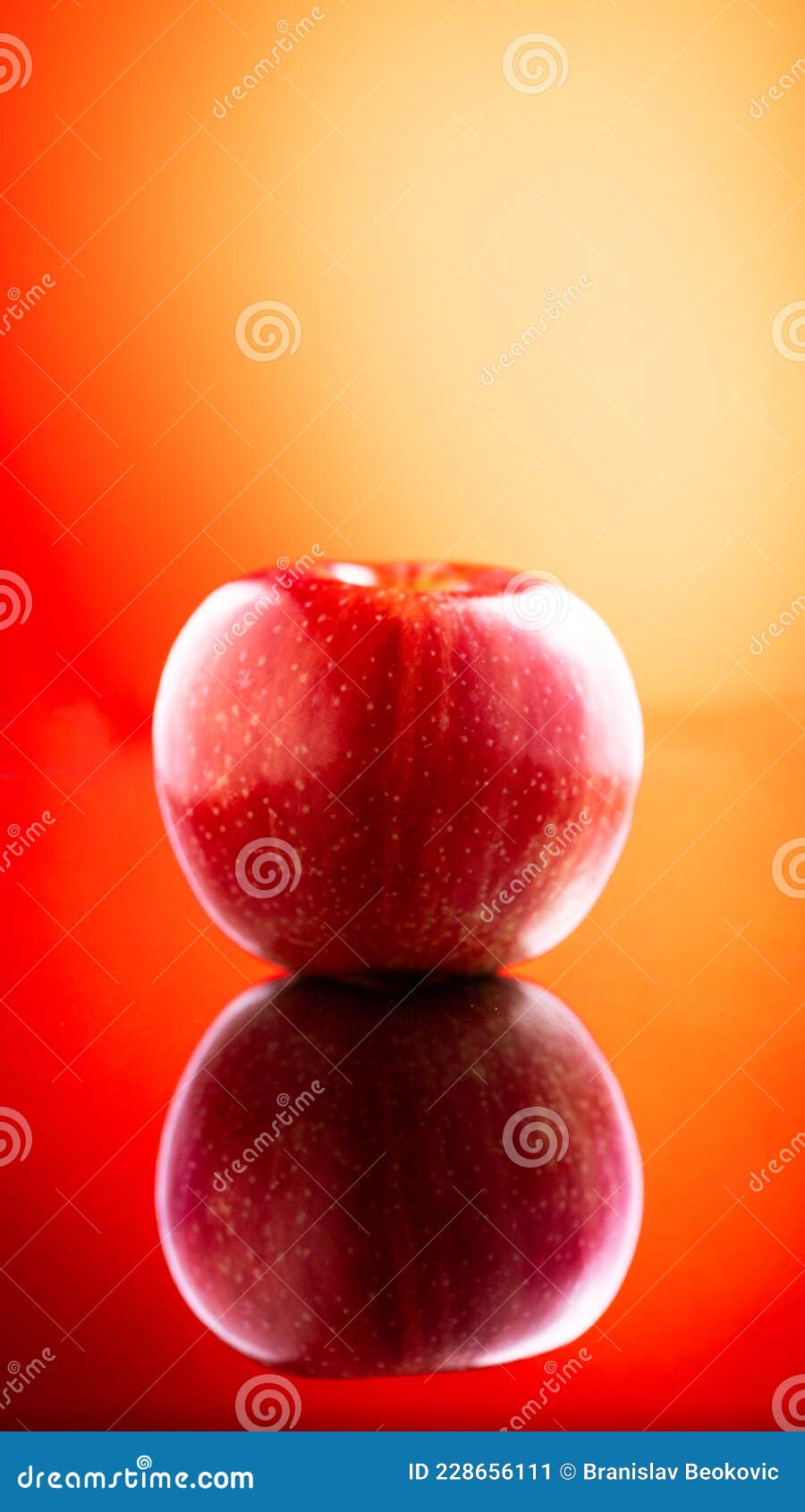 Large Fresh Red Apple on Red Background Gala Schnico Brookfield Mema