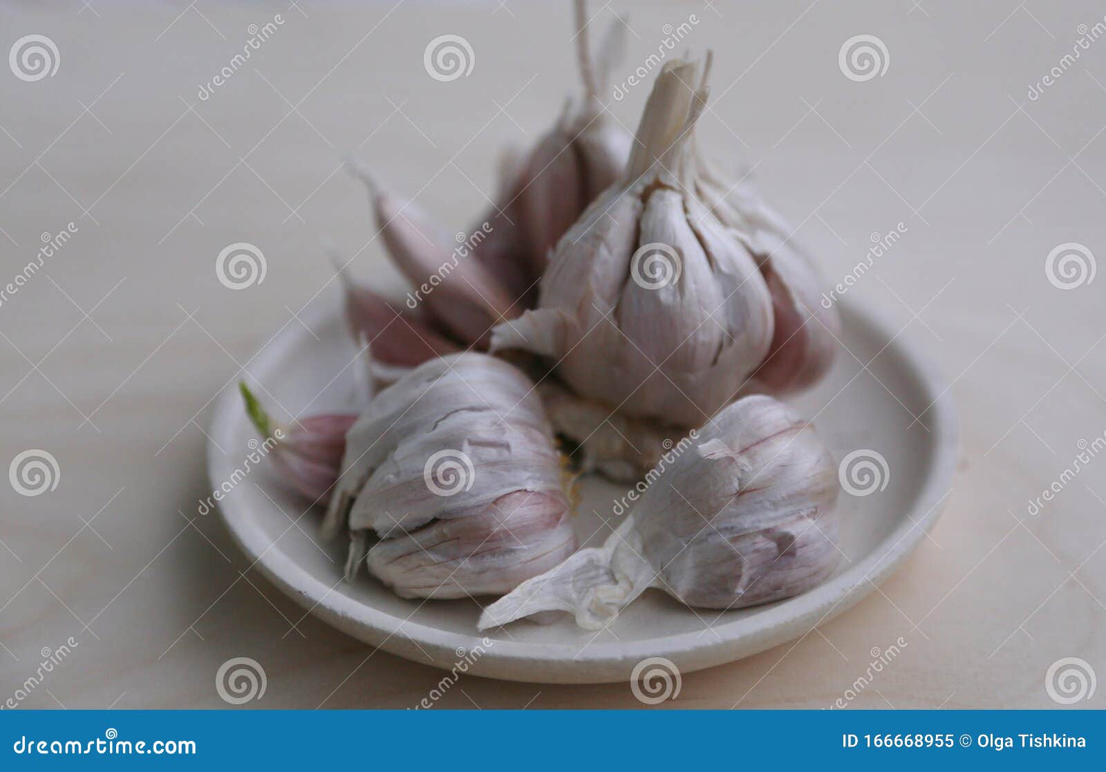 Large Garlic Head with Large Teeth Stock Image Image of ready