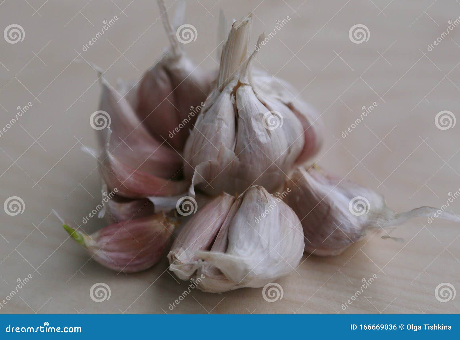 Large Garlic Head with Large Teeth Stock Photo Image of blue, eating