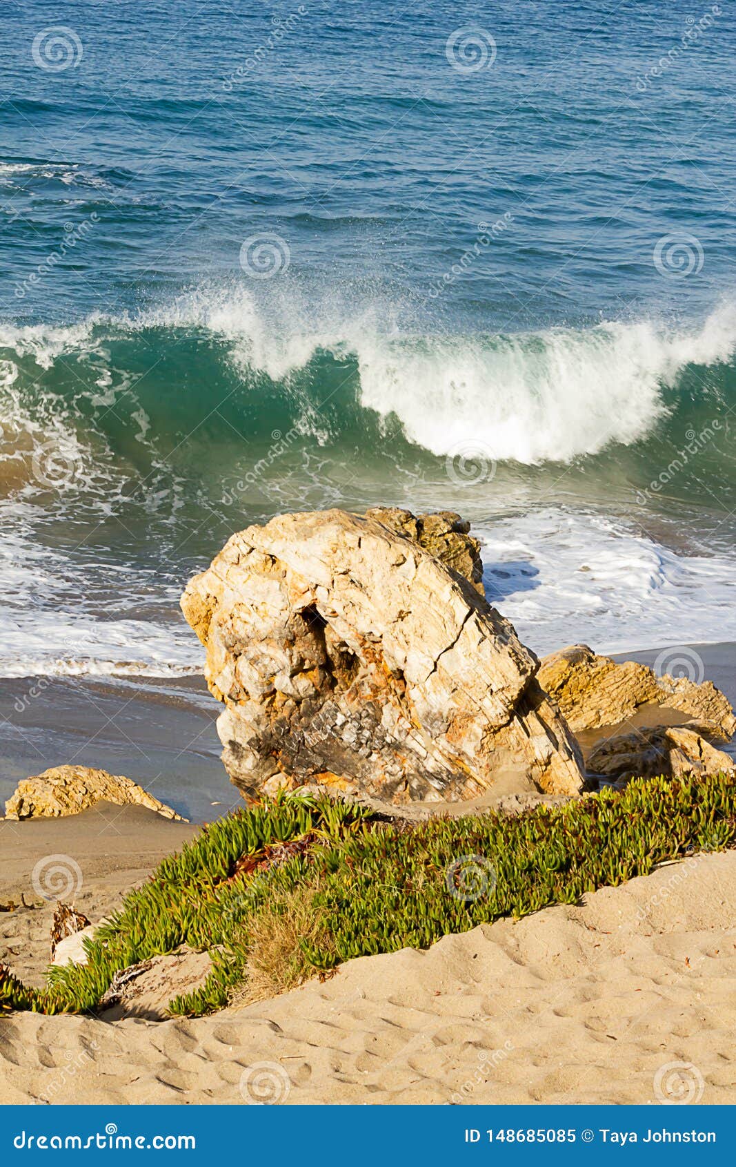 large golden boulder with iceplant in front of cresting torqouise wave with backspray foam