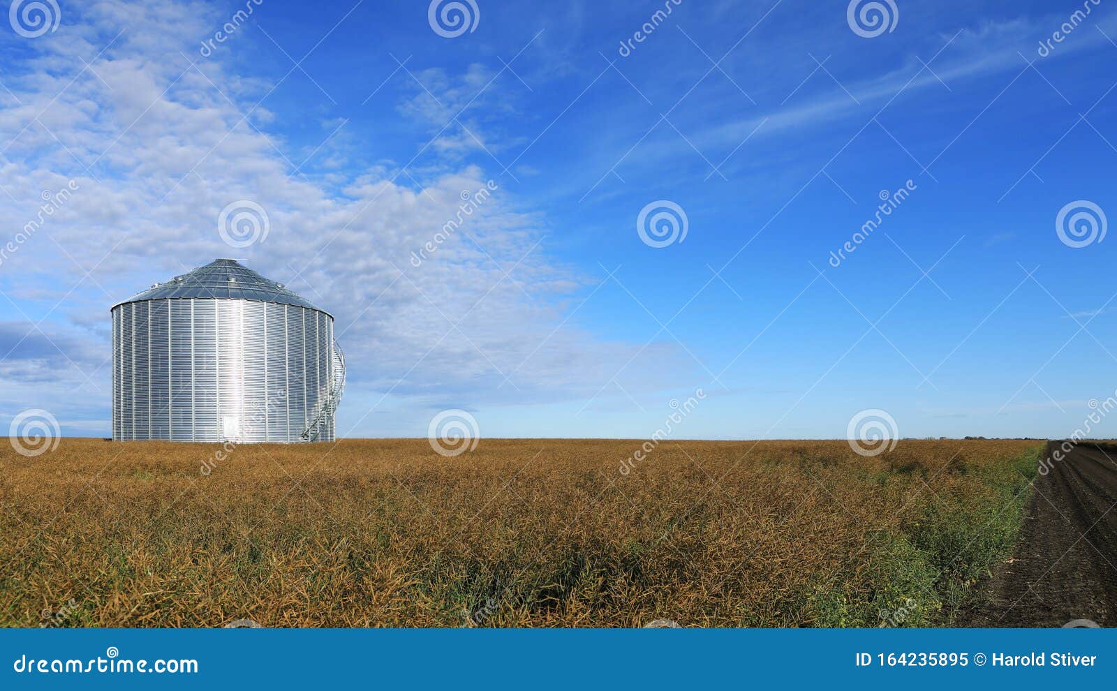 Large Grain Bin Saskatchewan Prairies, Canada Stock Image Image of