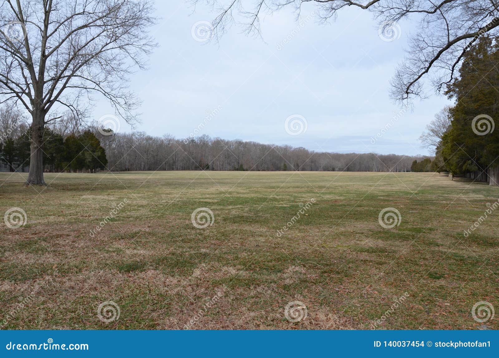 Large Green Grass Lawn or Yard with Trees Stock Photo Image of lawn