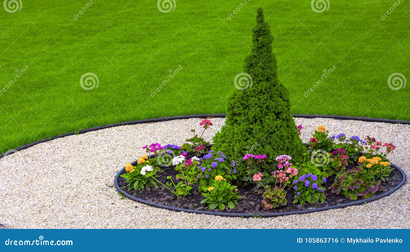 Large Green Healthy Canadian Christmas Tree Close-up Stock Photo ...
