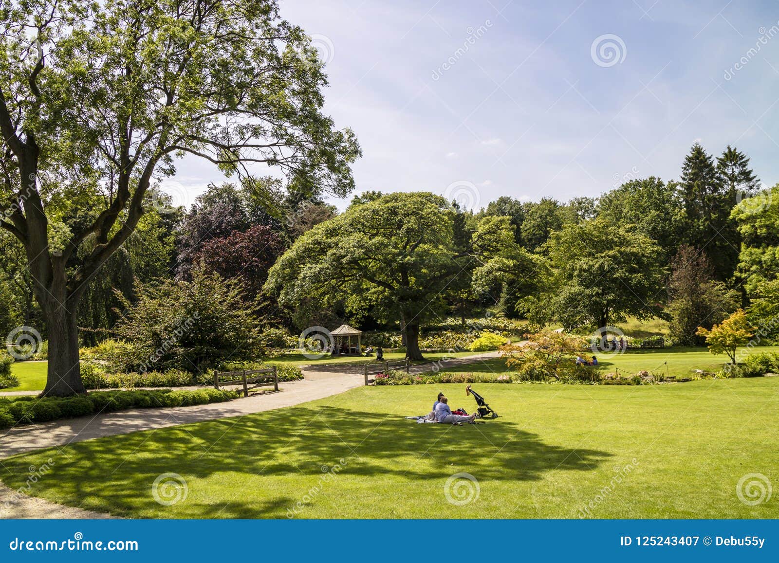 Large Green Lawn Area for Picnics in an English Park. Stock Image ...