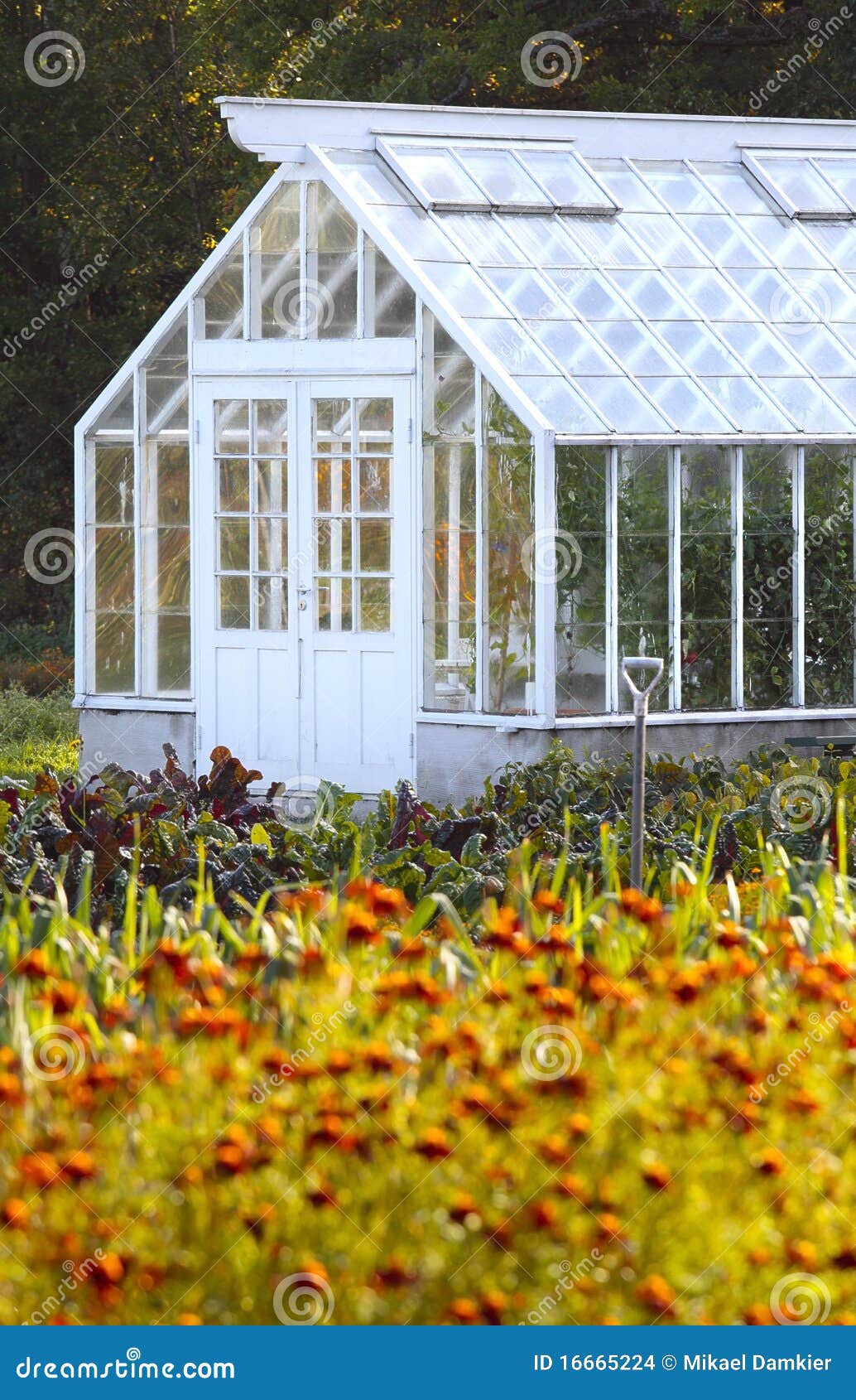Crop large Stock Photo Images. 25,436 Crop large royalty free pictures and photos available to download from thousands of stock photographers.