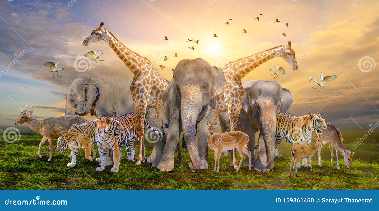 large group of african safari animals. wildlife conservation concept
