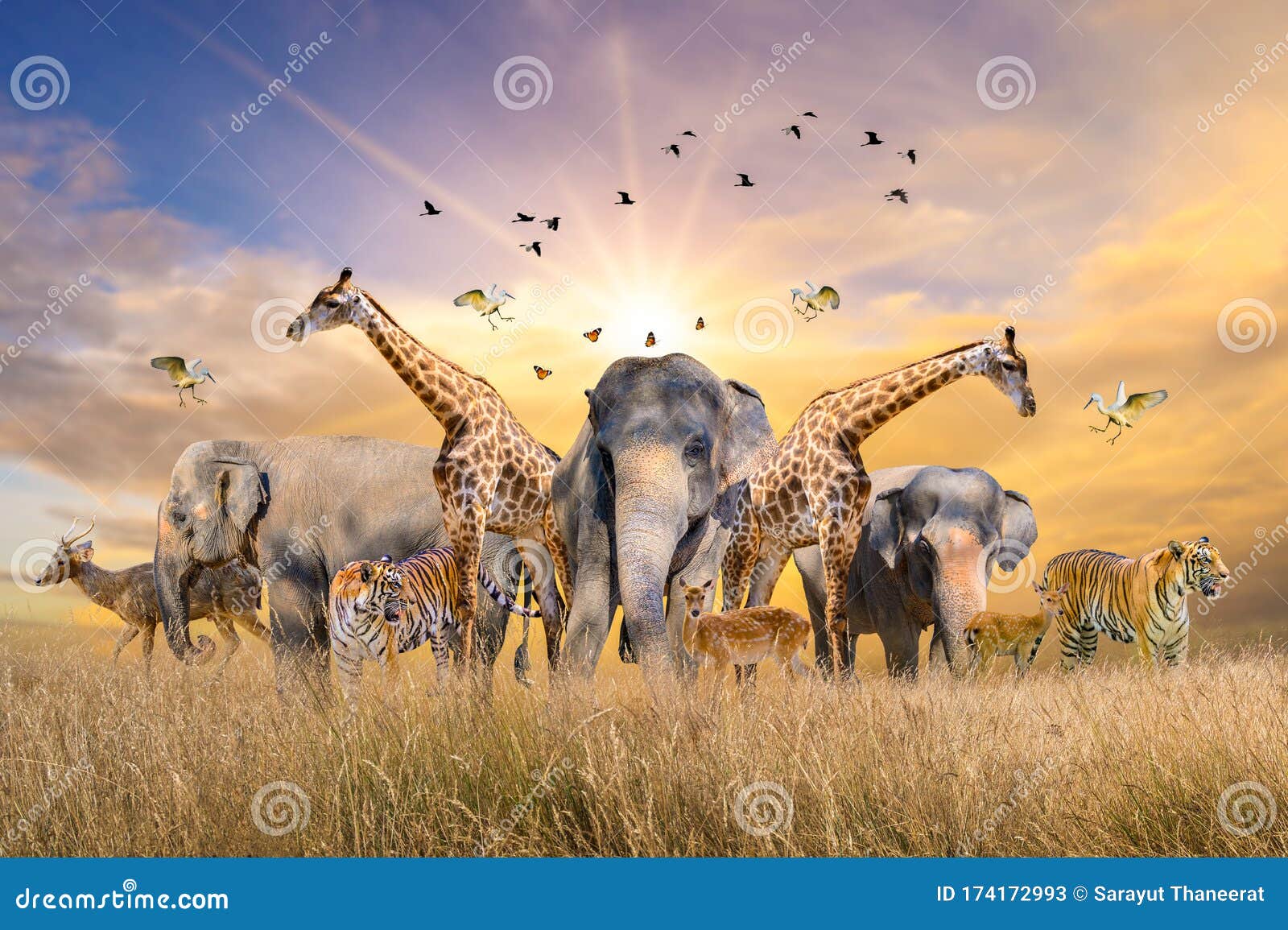 large group of african safari animals. wildlife conservation concept