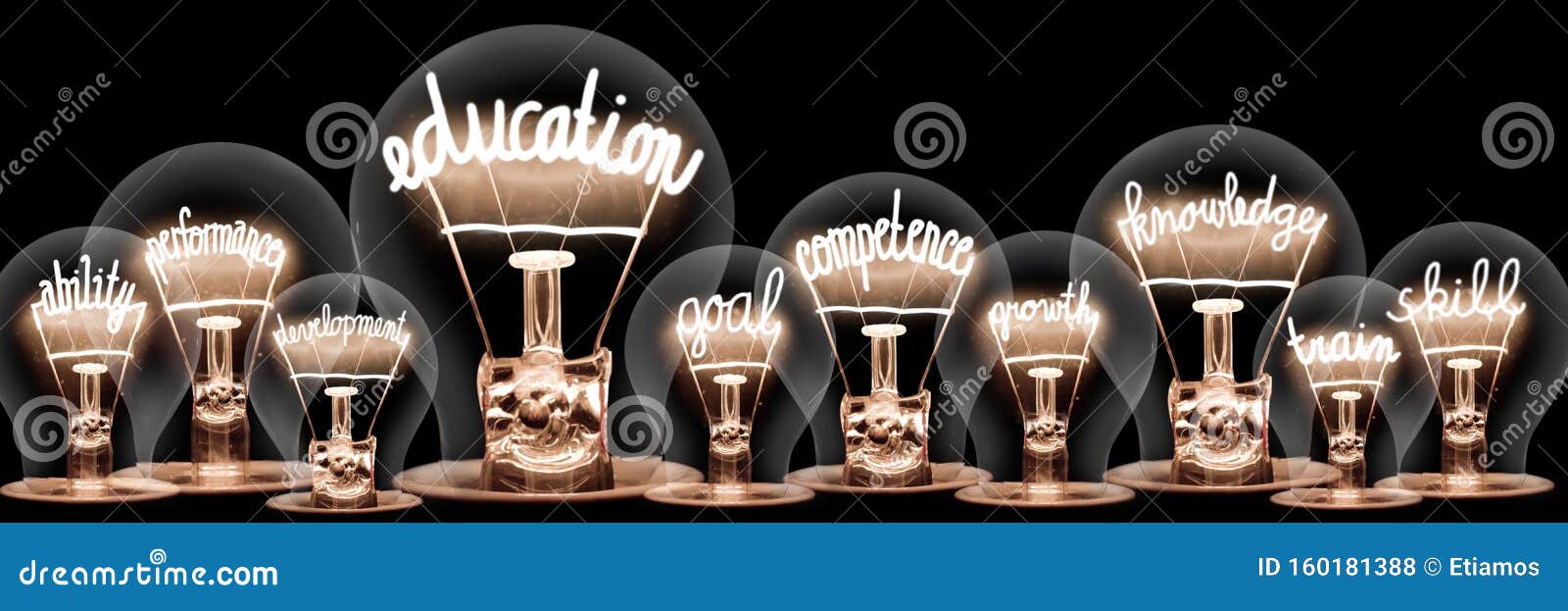 light bulbs with education concept
