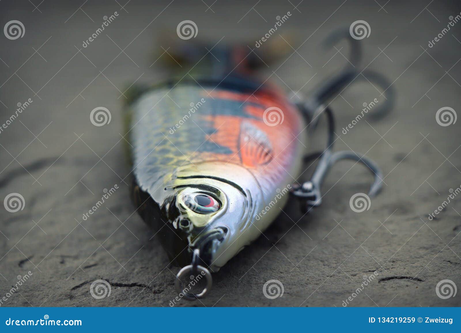 Large, Heavy Fishing Glider Lure Plug for Muskies Stock Image - Image of  fishermen, herring: 134219259
