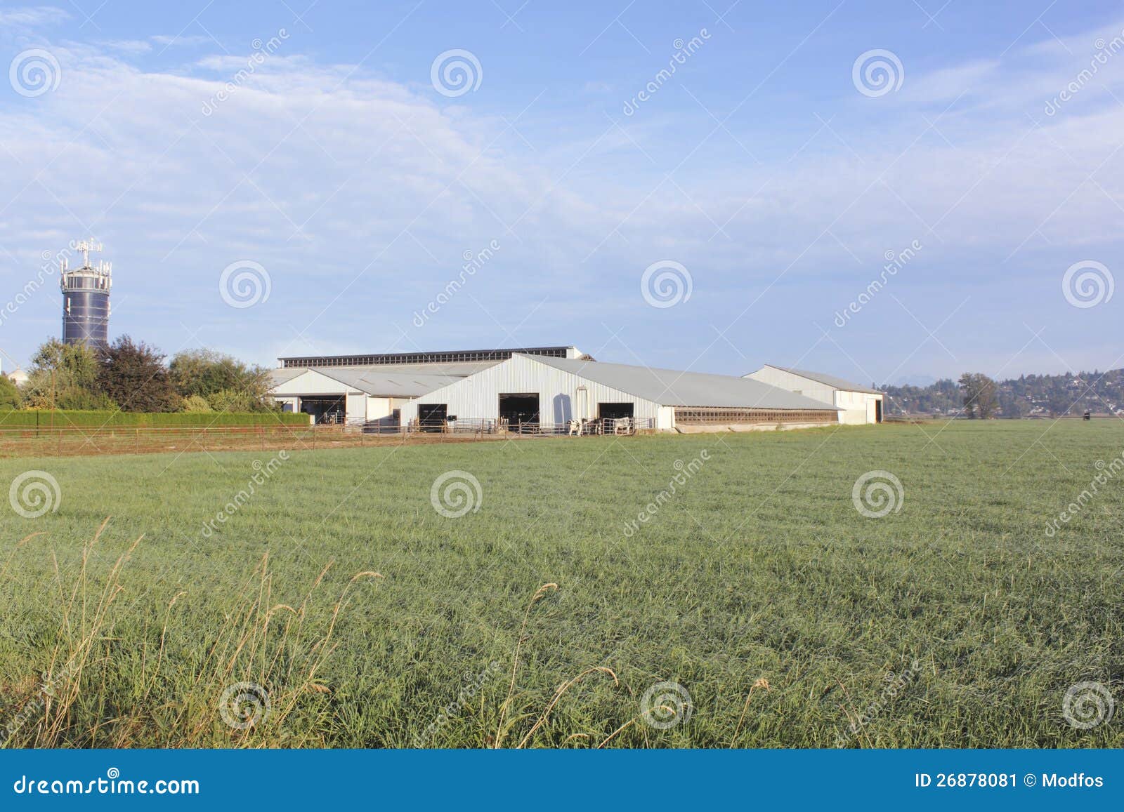 Large Industrial Canadian Dairy Farm Stock Image Image of canadian