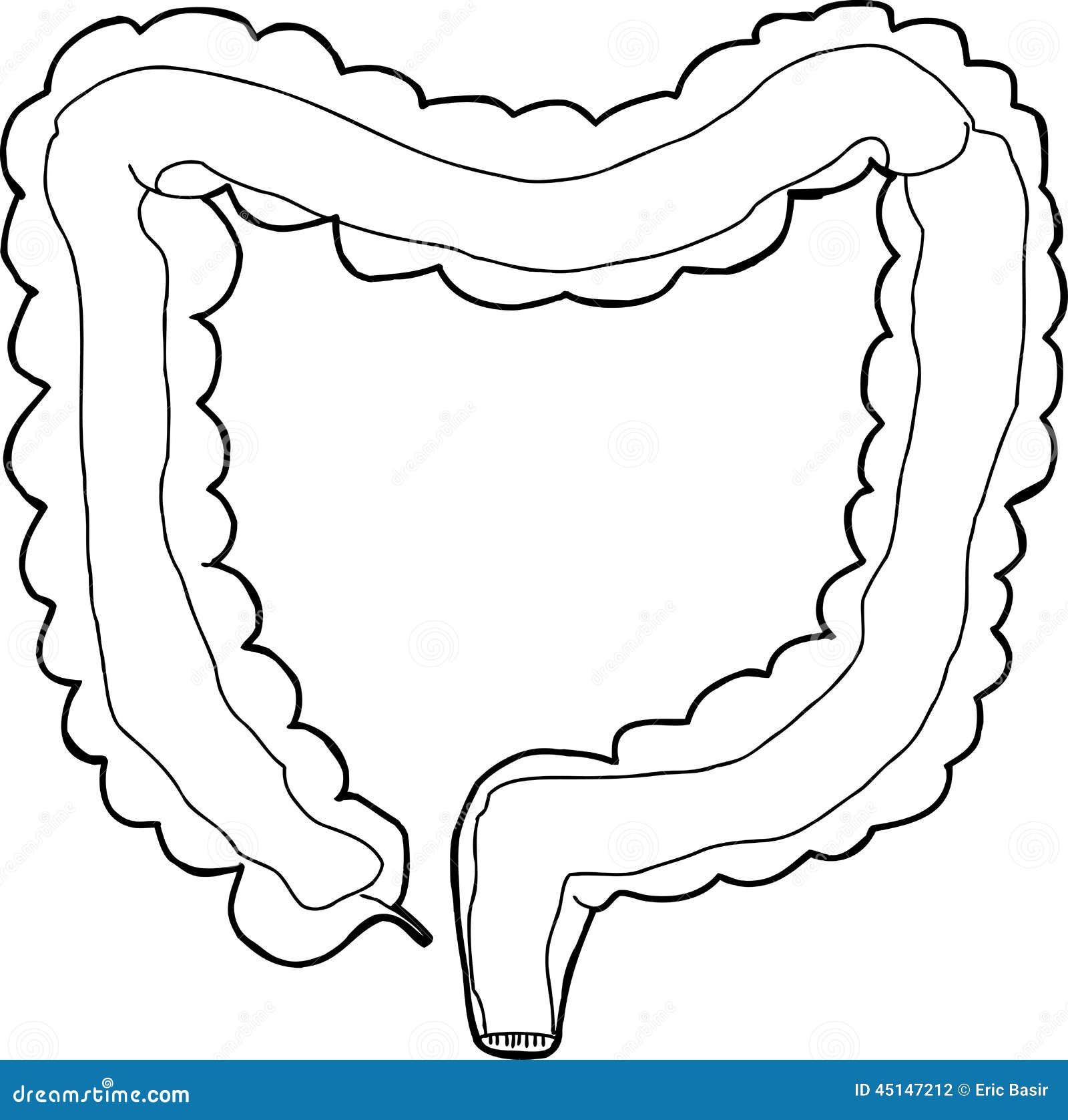 Large Intestine Cartoon Image