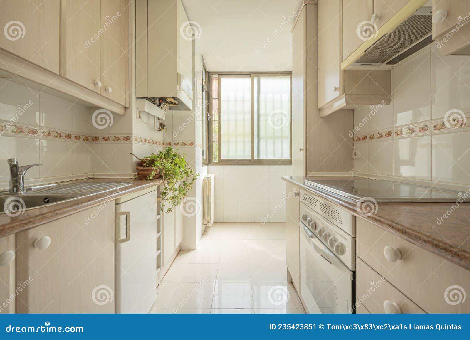 Large Kitchen with Nooks, Plants and Red Granite Simile Countertop