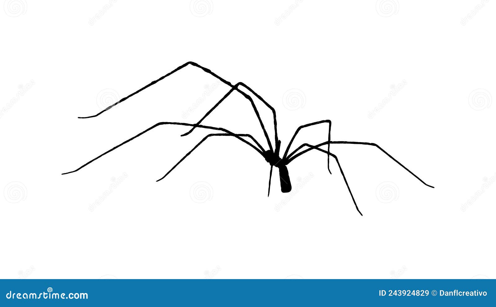 How To Draw A Daddy Long Legs - Art For Kids Hub 