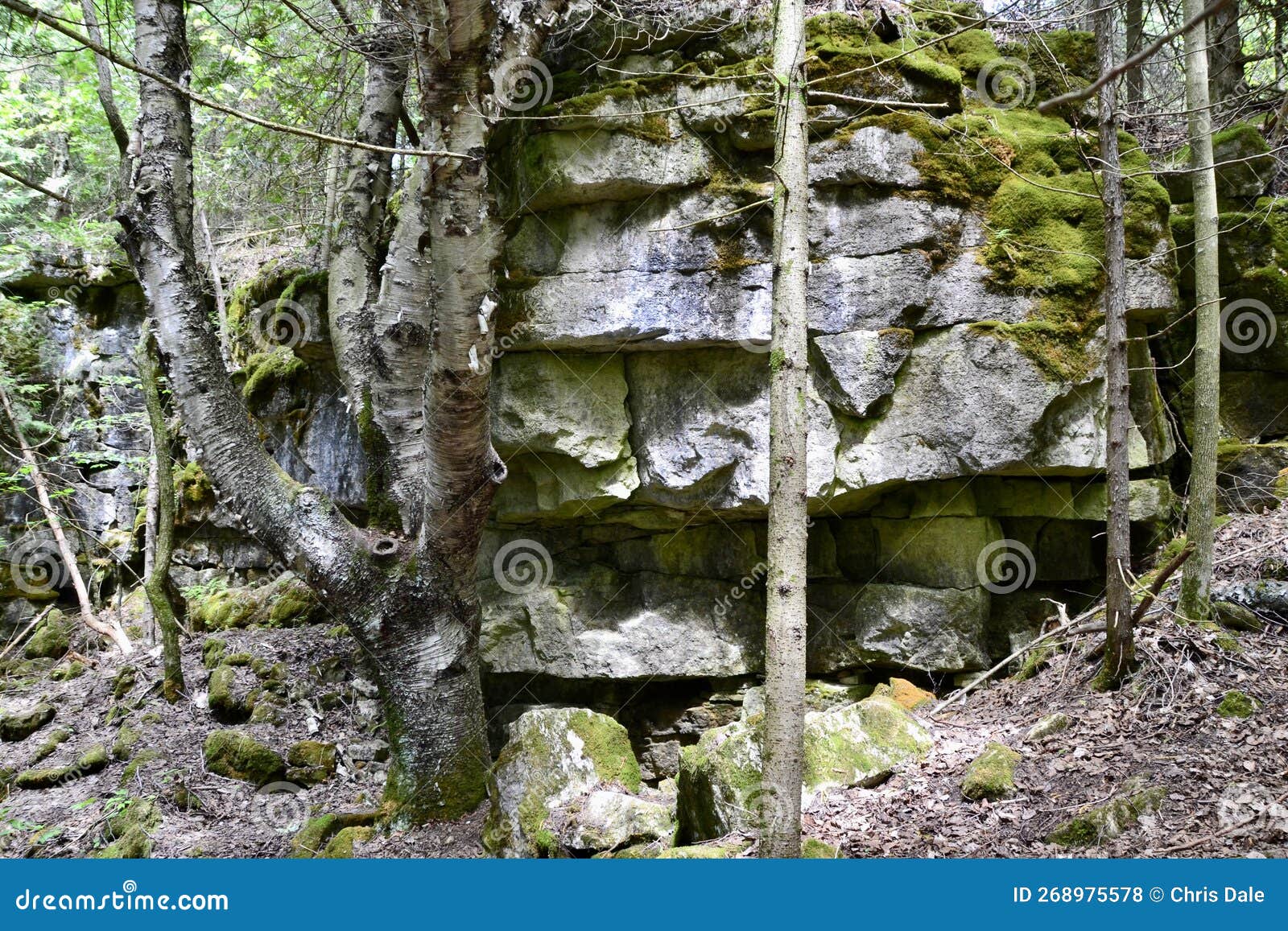 Large Limestone Quarry In Clitheroe, Ribble Valley. Excavators And