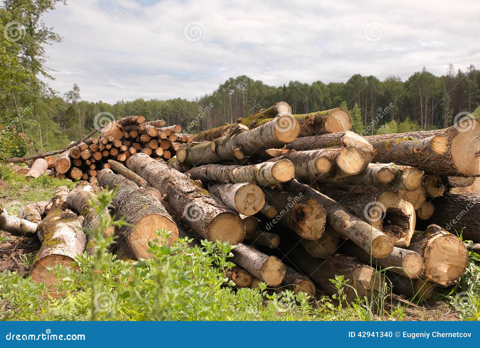 Lumber Pile Stock Image 1592725