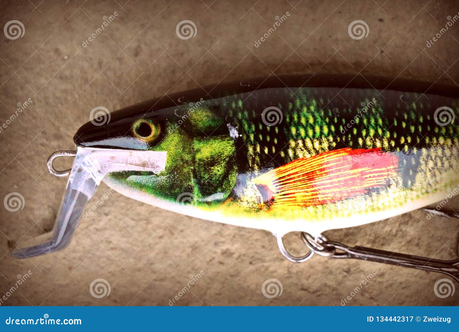 Large Rapala Super Shad Rap Real Perch Colour Stock Image - Image of  presentation, poppers: 134442317