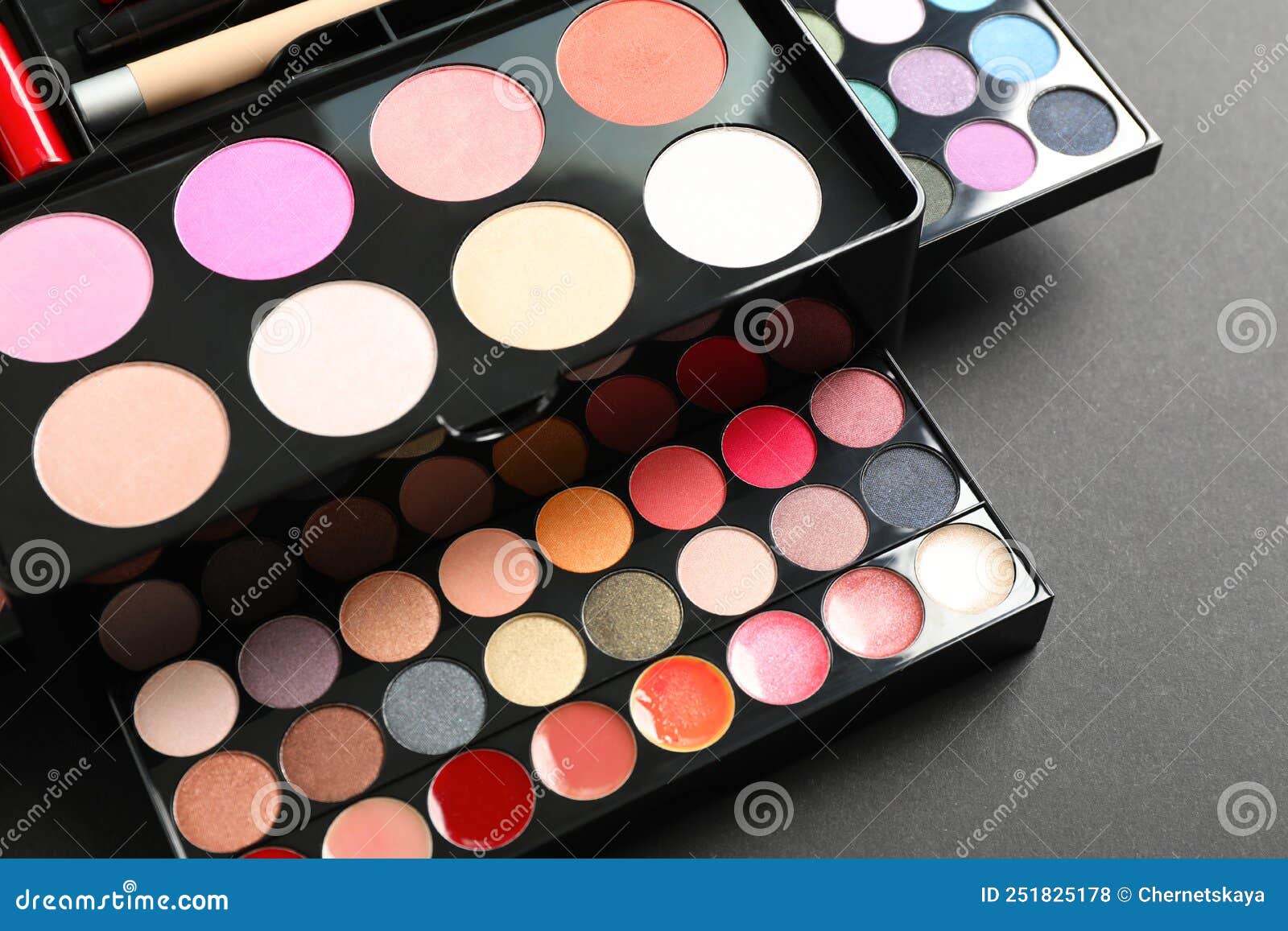 Large Makeup Case with Different Decorative Cosmetics on Dark