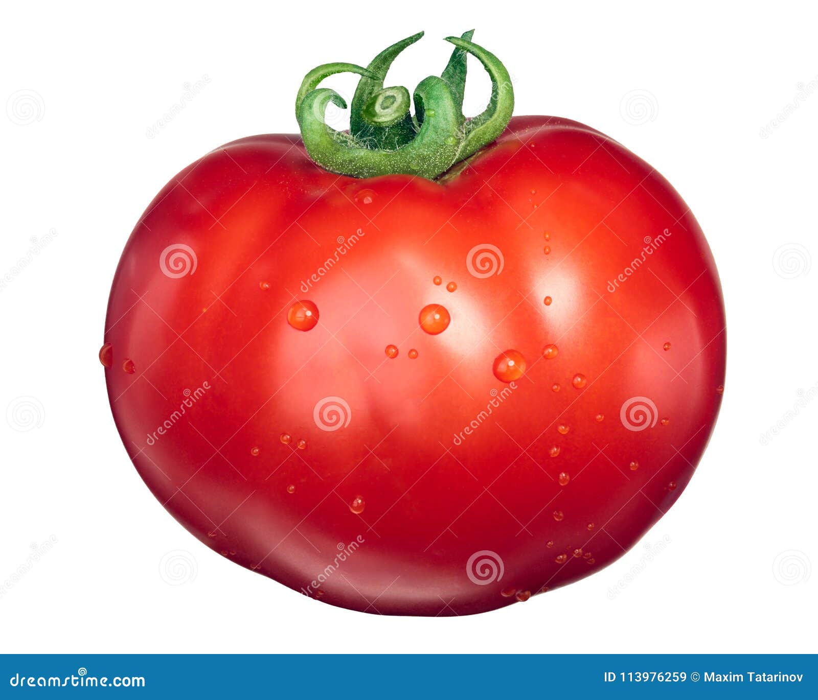 Large Marglobe Tomato, Top View Stock Image Image of globe, fruit