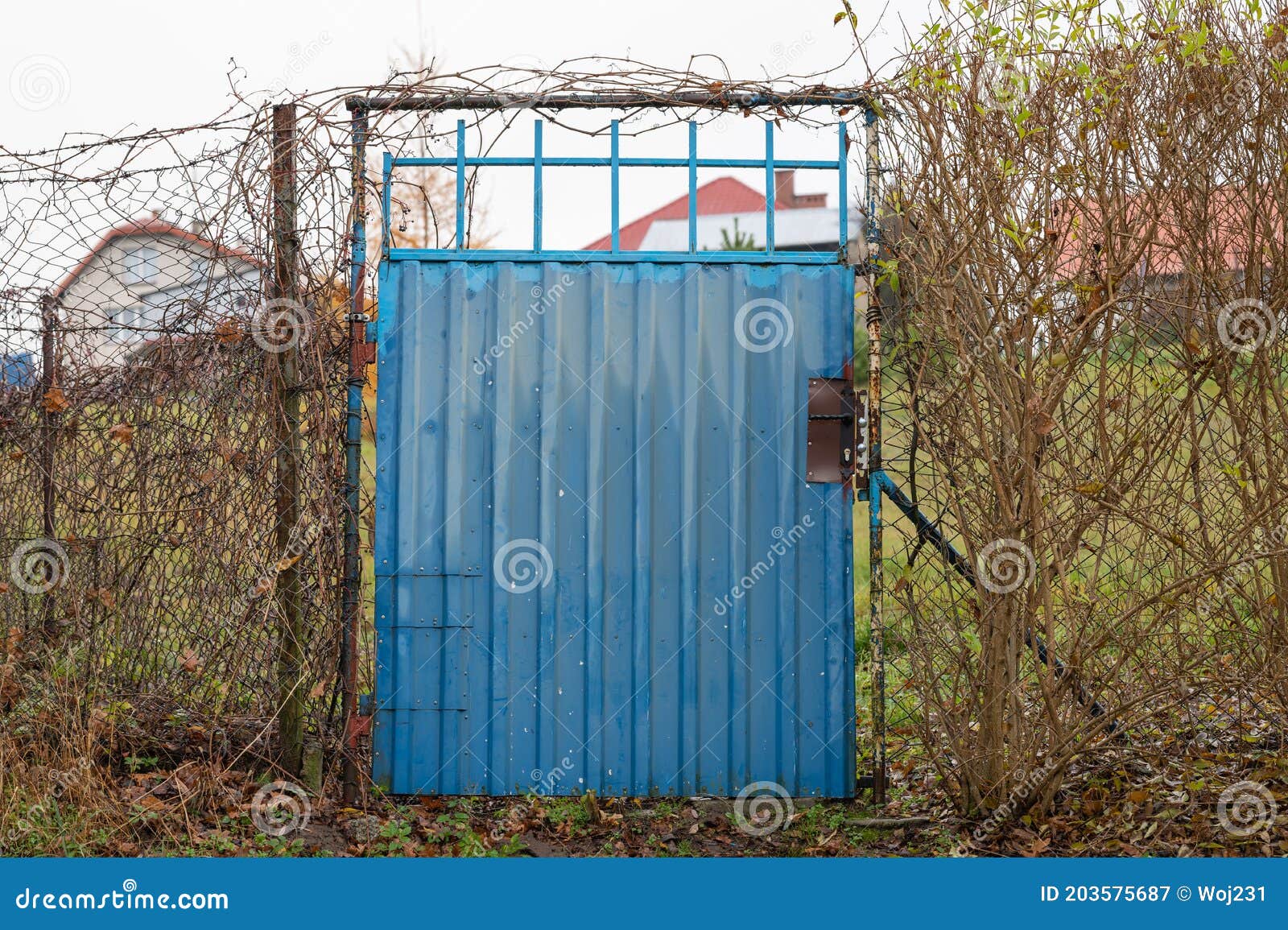 Blue Entrance Gate To the Garden Stock Image - Image of door