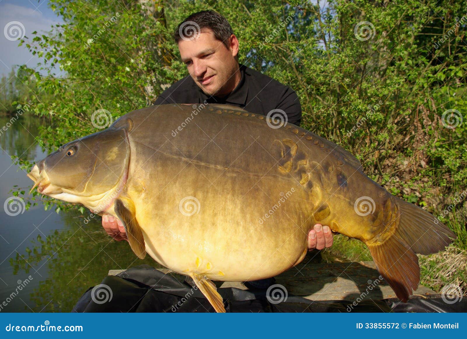 4,038 Large Carp Stock Photos - Free & Royalty-Free Stock Photos