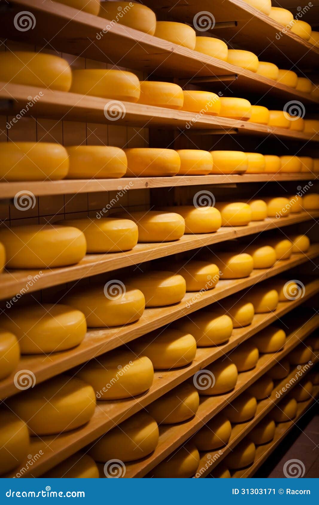 Large Number of Cheesewheels Aging Stock Image Image of large