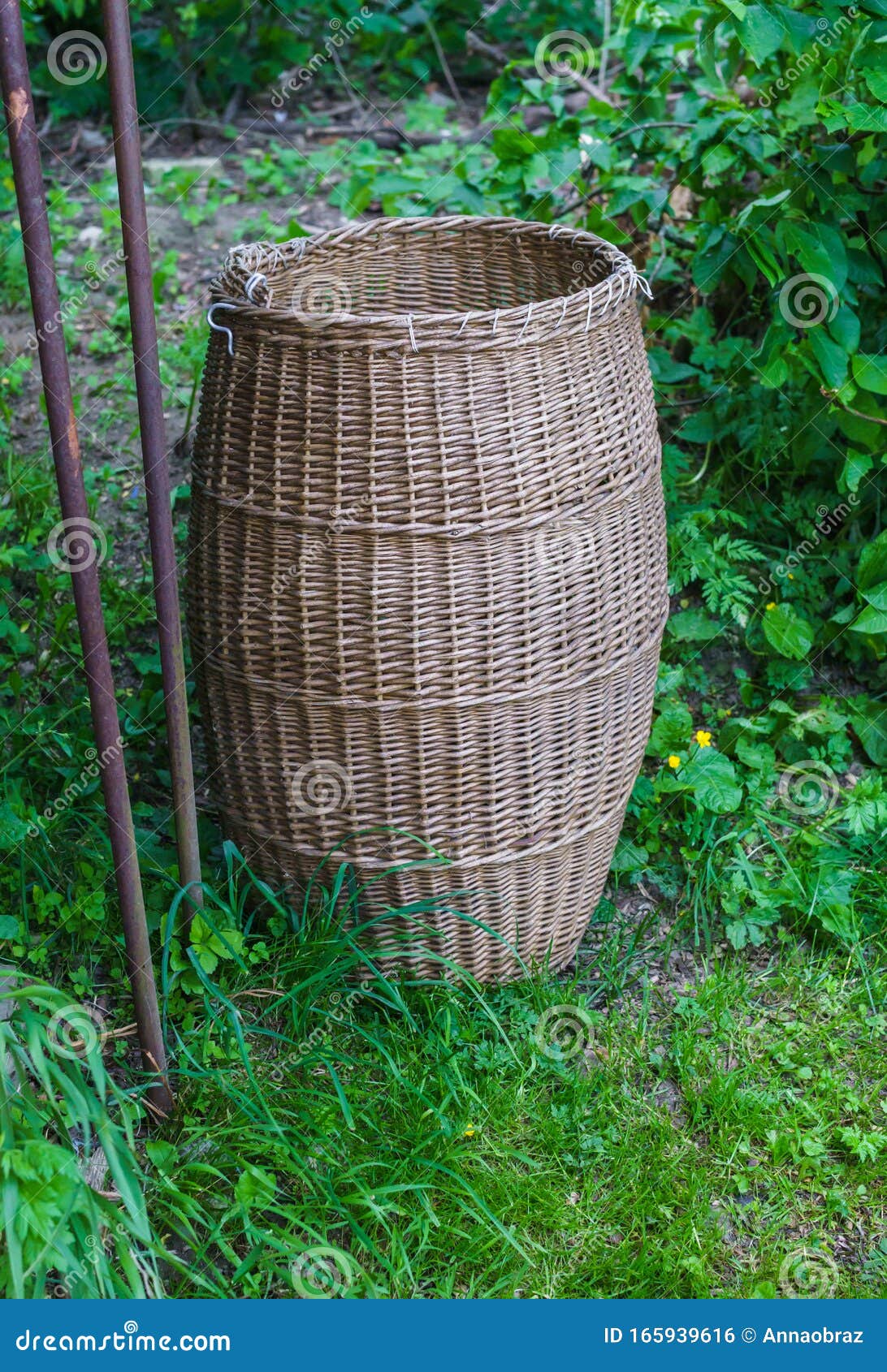 A Large Old Basket Made of Twigs Stock Photo Image of barrel, cellar