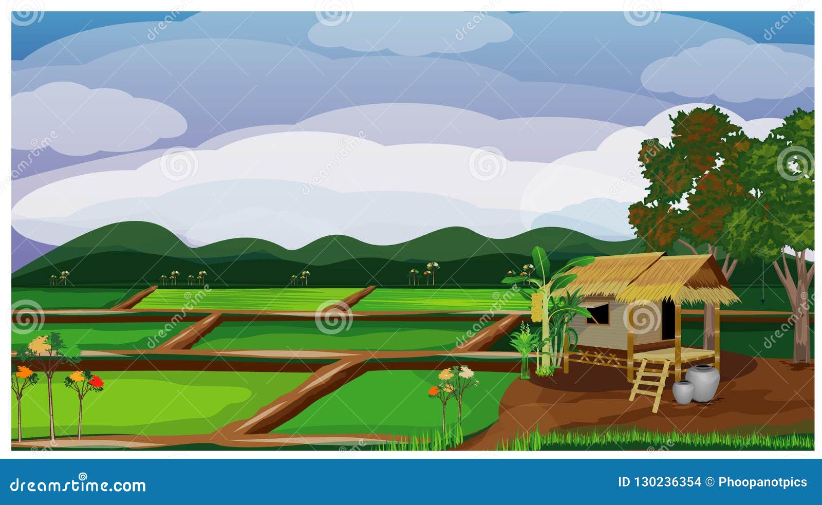 Paddy field vector stock vector. Illustration of carry - 130236354