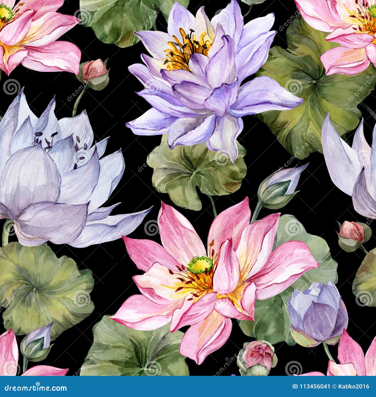 Large Pink and Purple Lotus Flowers with Leaves on Black Background.  Beautiful Floral Seamless Pattern Stock Illustration - Illustration of  botanical, aqua: 113456041