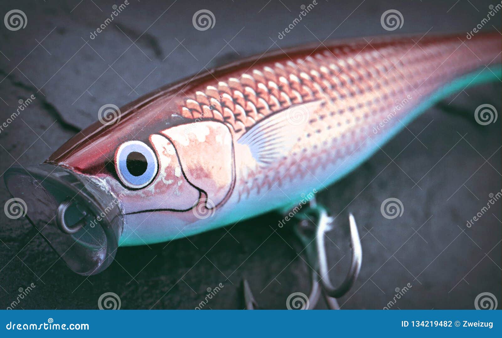 Large Rapala Fishing Popper Lure Plug for Big Saltwater Fish Stock Photo -  Image of herrings, colourful: 134219482