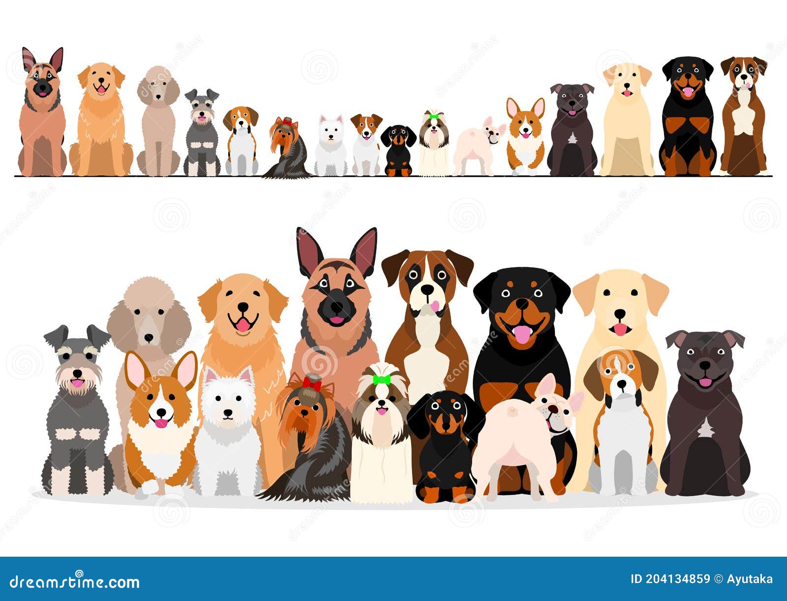 Download Large Set Of Border And Group Of Various Breeds Of Dogs ...