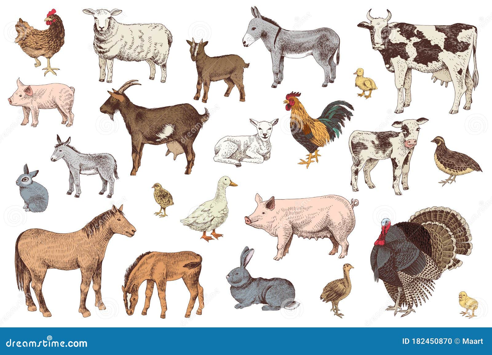 Babies Goat Stock Illustrations – 71 Babies Goat Stock Illustrations,  Vectors & Clipart - Dreamstime