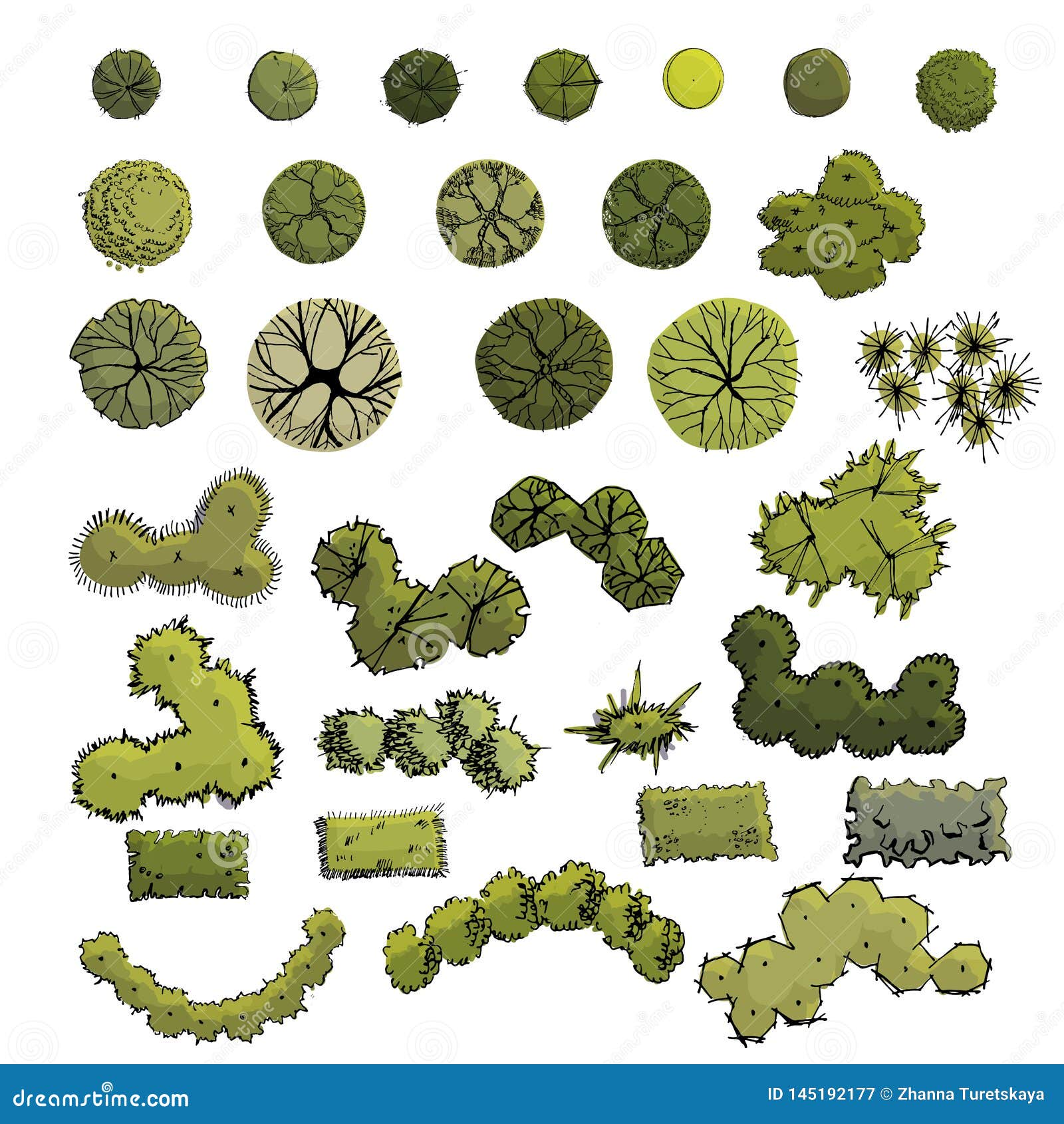 large set with s of trees and shrubs  in plan view whithout shadow. hand drawn ink and colored sketch.