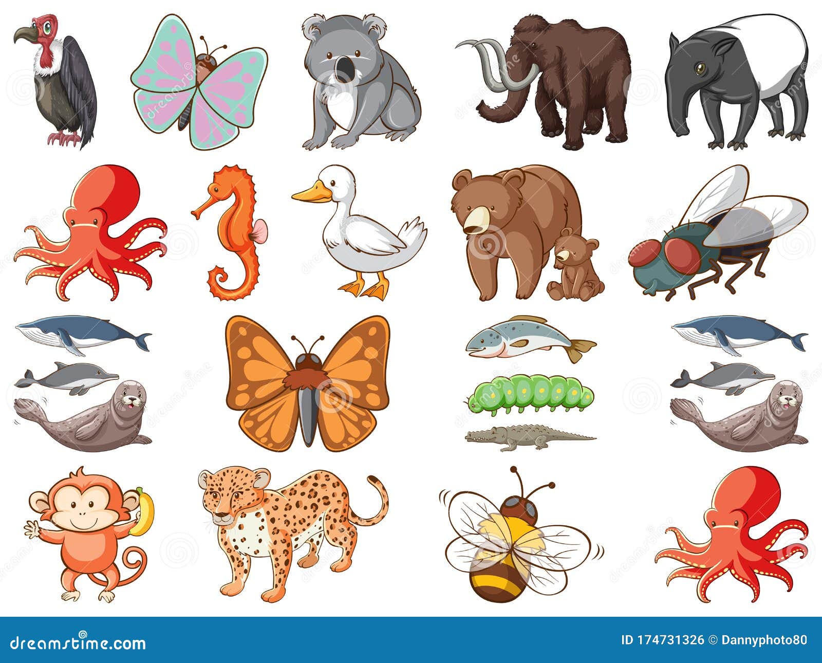 Large Set of Wildlife with Many Types of Animals Stock Vector - Illustration of cute, aquatic: 174731326 Large Set of Wildlife with Many Types of Animals Stock Vector - Illustration of cute, aquatic: 174731326