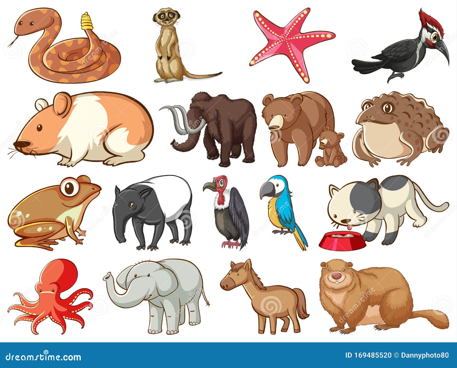 Large Set of Wildlife with Many Types of Animals Land and Sea Stock Vector - Illustration of reptile, snakes: 169485520 Large Set of Wildlife with Many Types of Animals Land and Sea Stock Vector - Illustration of reptile, snakes: 169485520