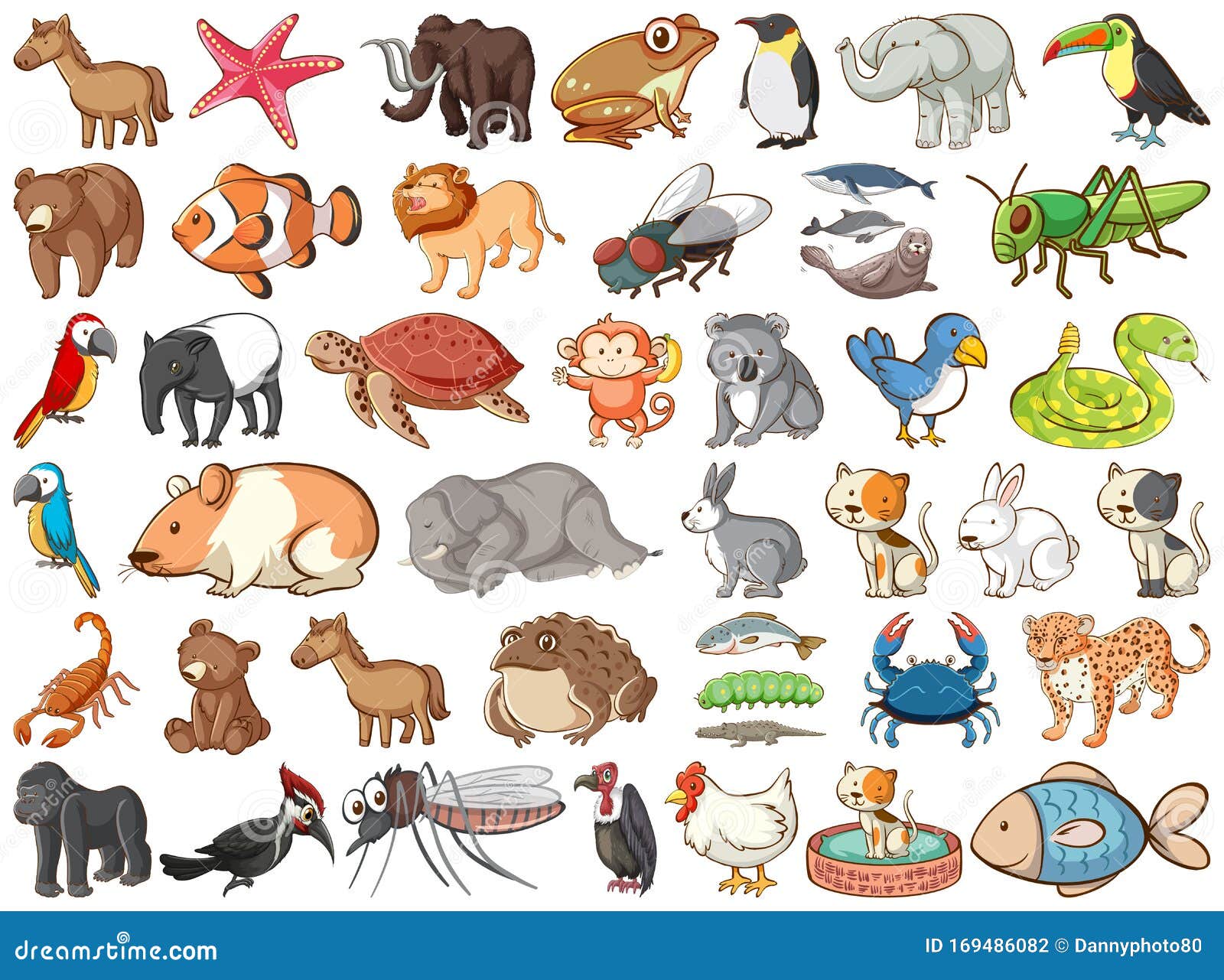 Large Set of Wildlife with Many Types of Animals Land and Sea Stock Vector  - Illustration of monkeys, flying: 169486082