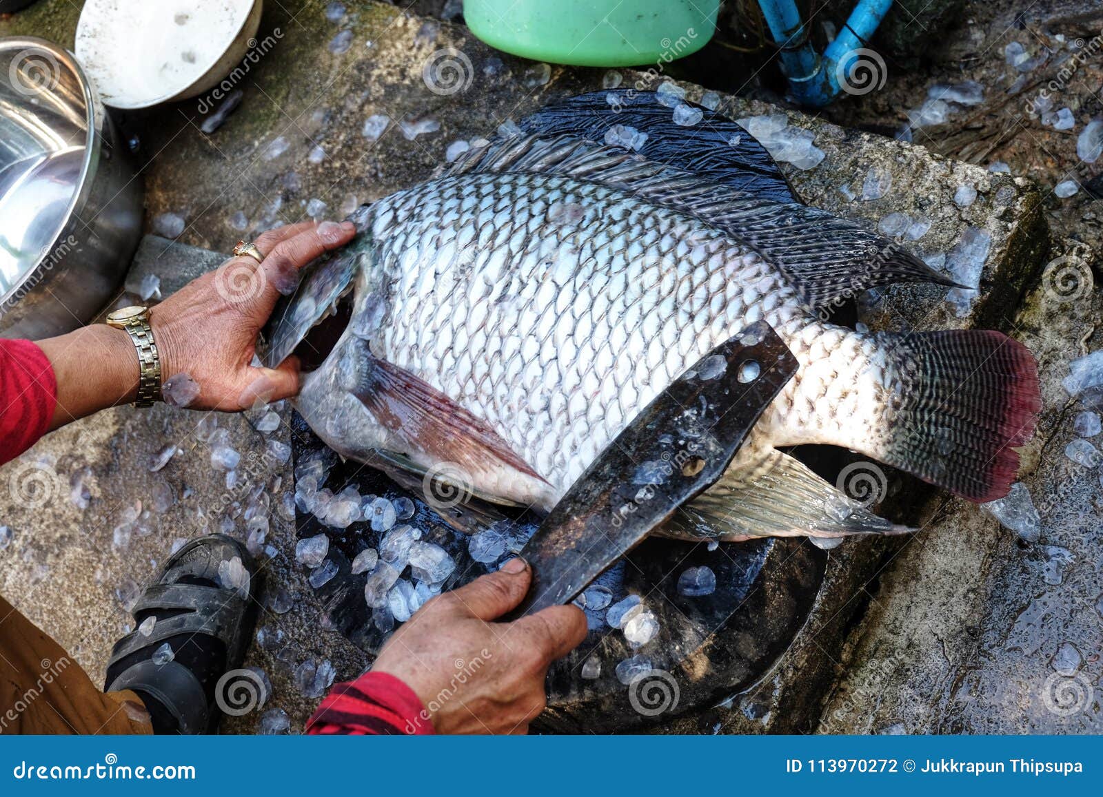 Large Size Tilapia is a Eviscerated Fish with a Knife, Fish Market