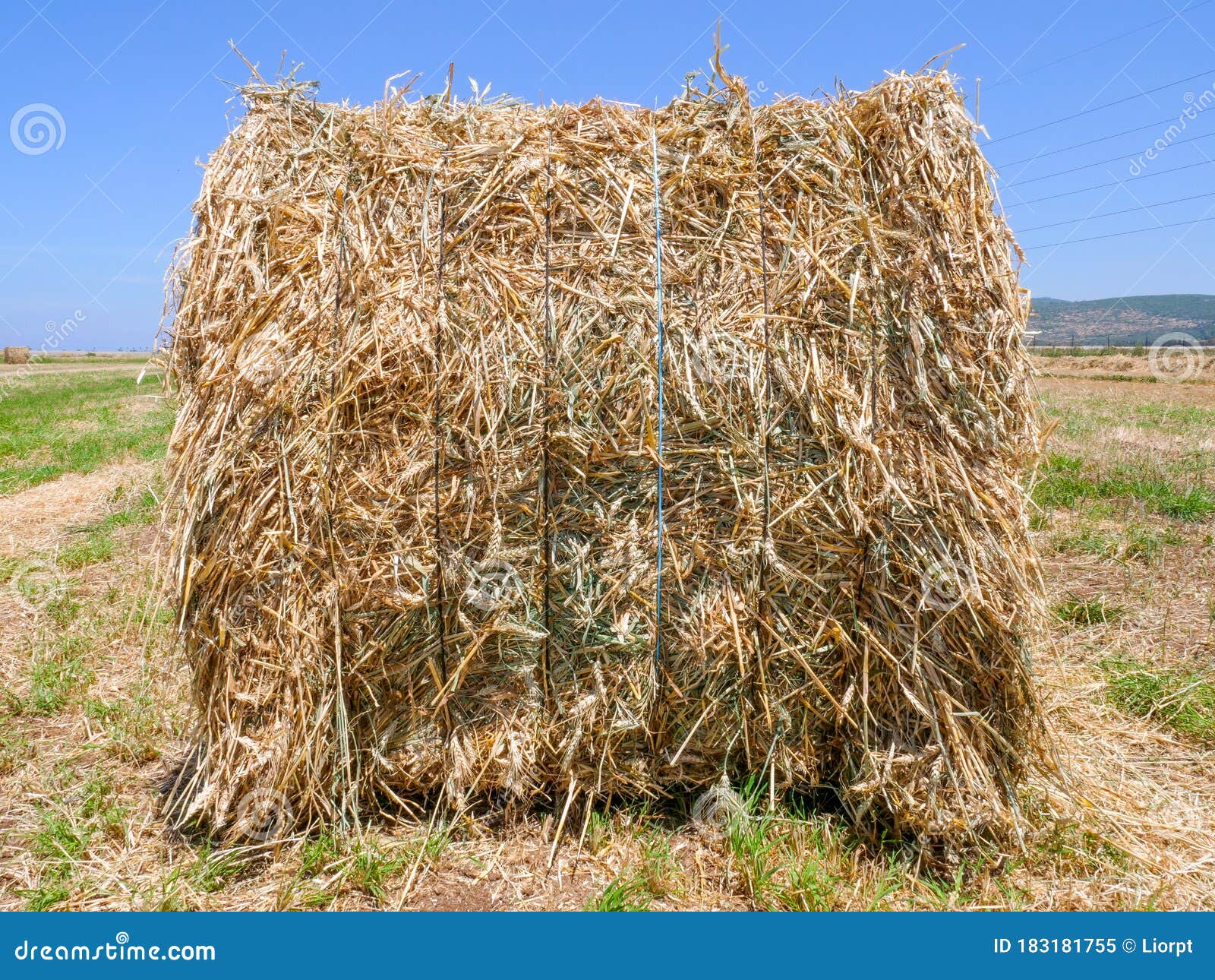 Large Square Hay Bale In A Field Stock Image Image Of Harvest Baler