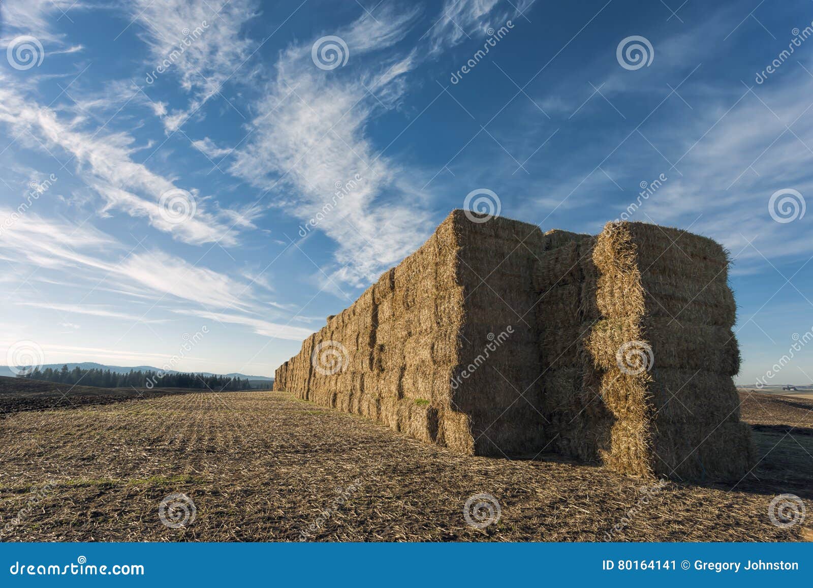 Large stack of hay bales. stock image. Image of stack 80164141