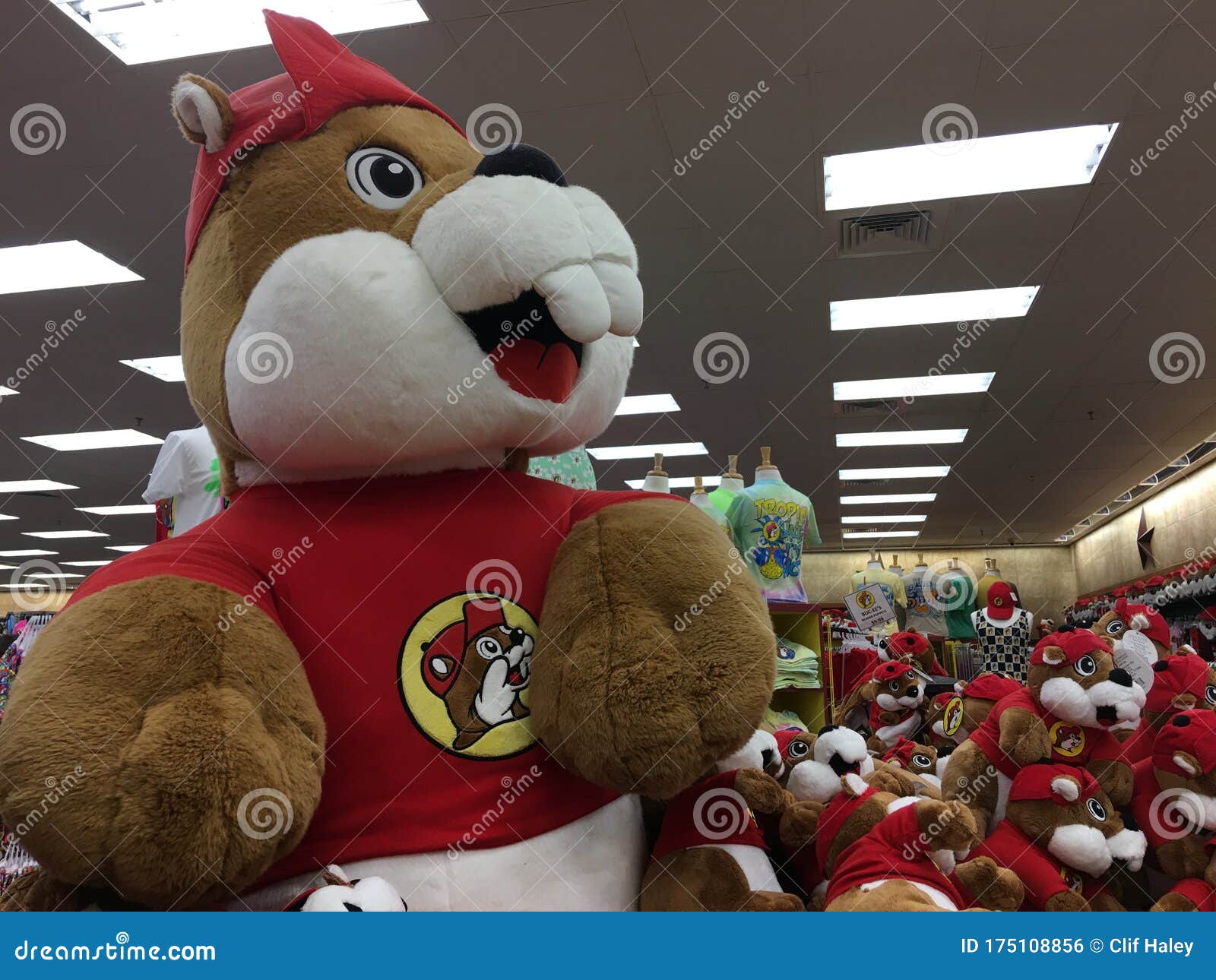 giant stuffed beaver