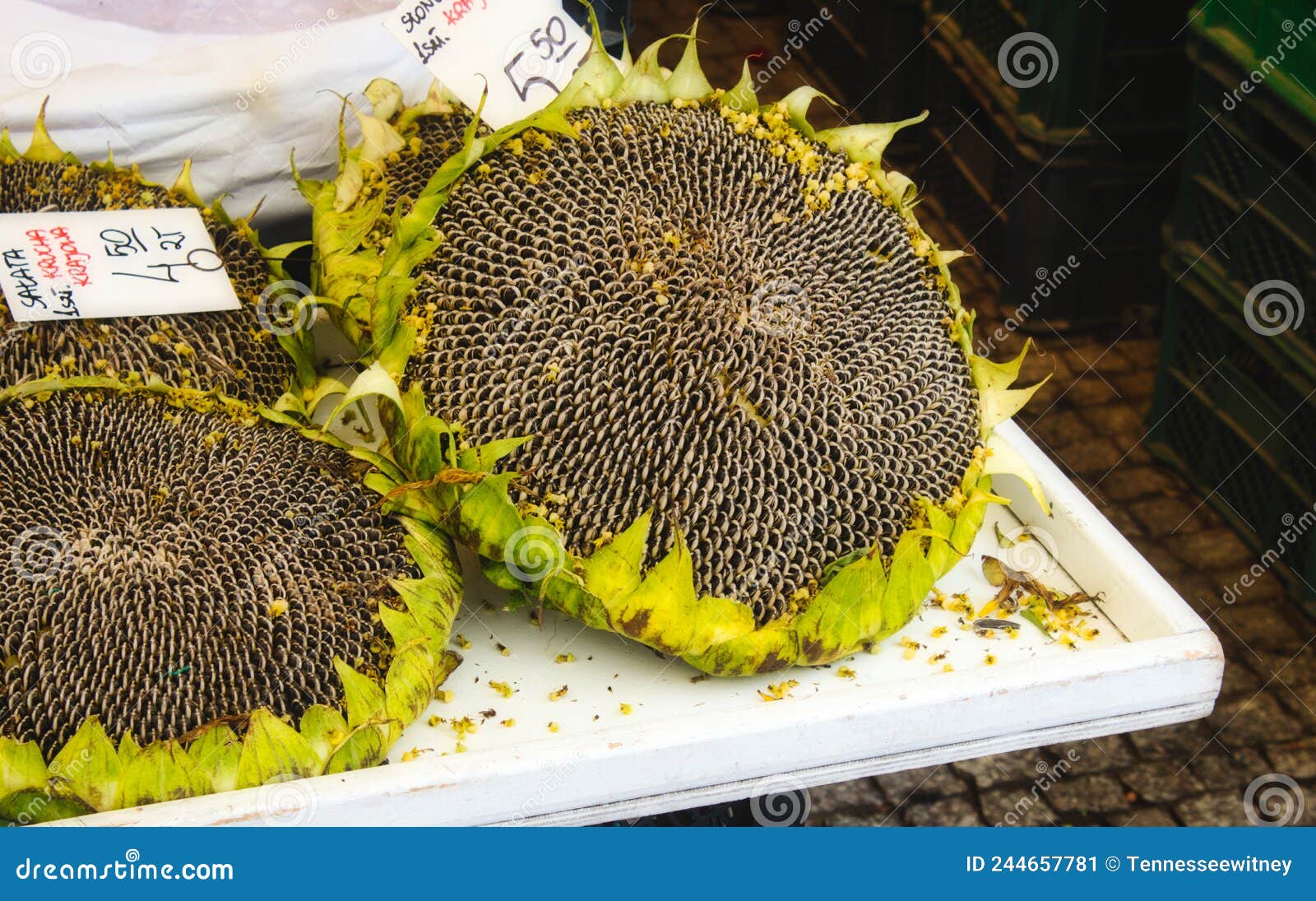 Large Sunflower Head with Seeds Being Sold at a Food Market Stock Image ...