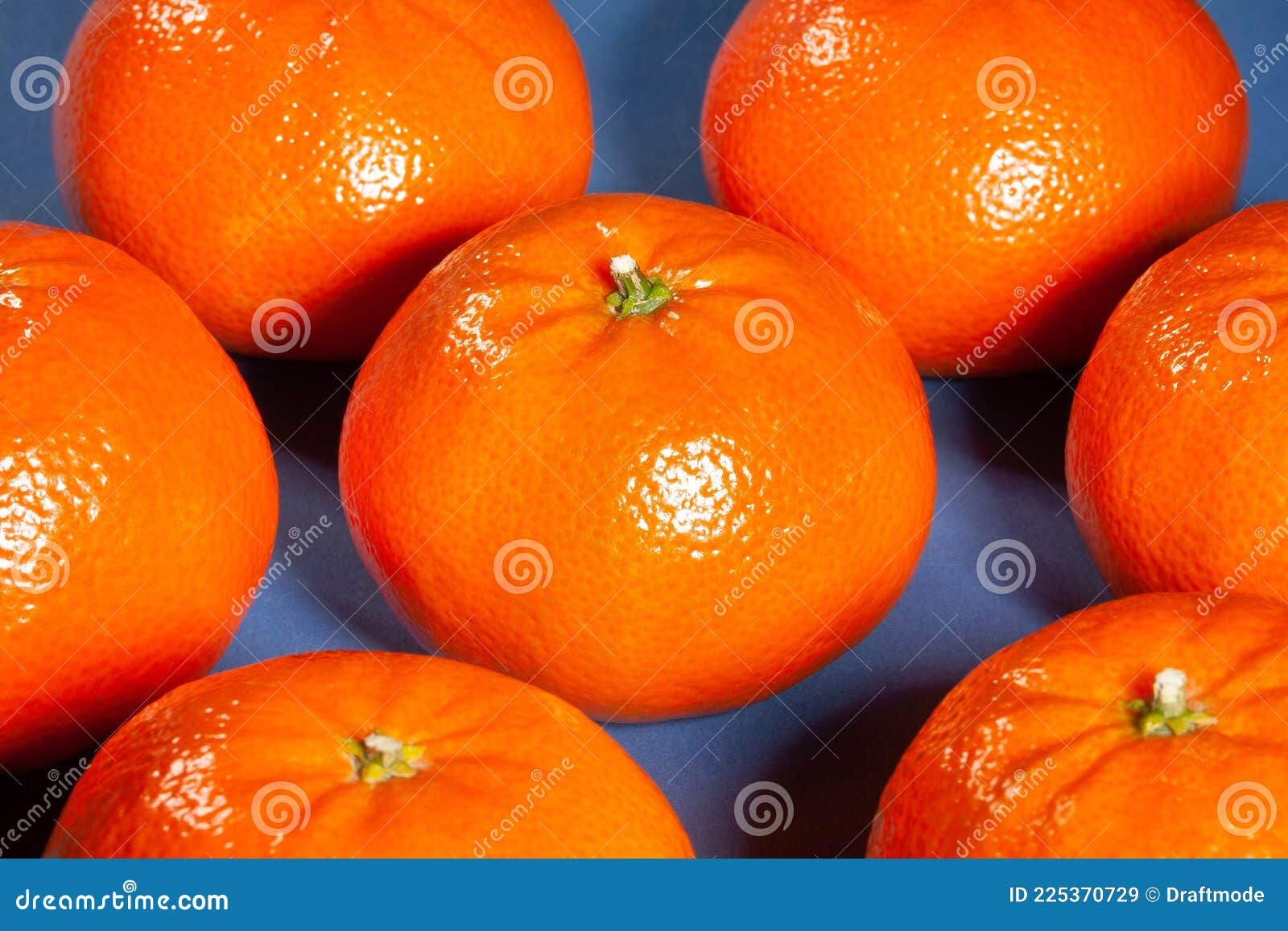 Tangerine Group on Blue Background Stock Image Image of tangerines, fresh 225370729