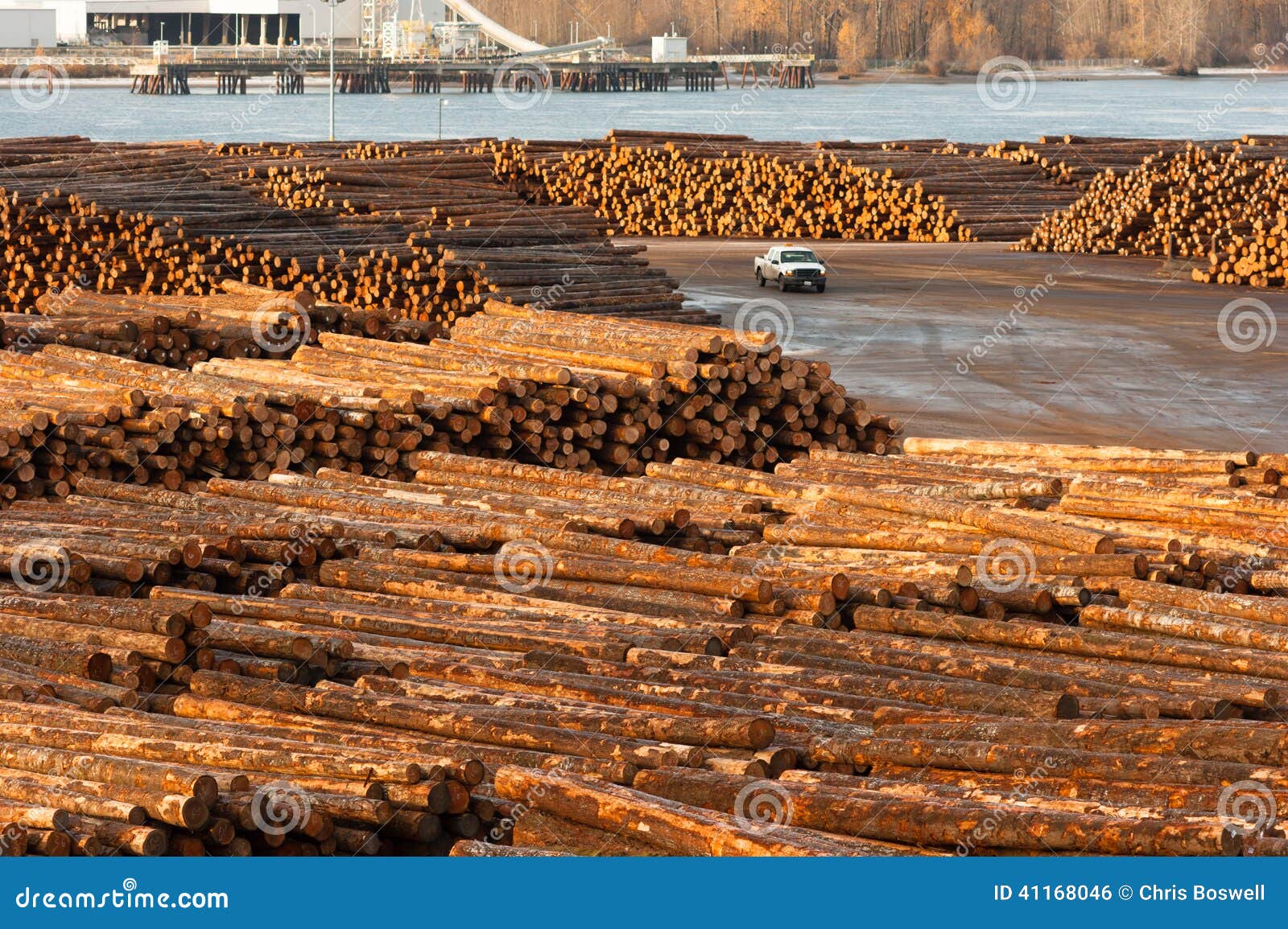 Large Timber Wood Log Lumber Processing Plant Riverside Columbia Stock Photo Image of boards