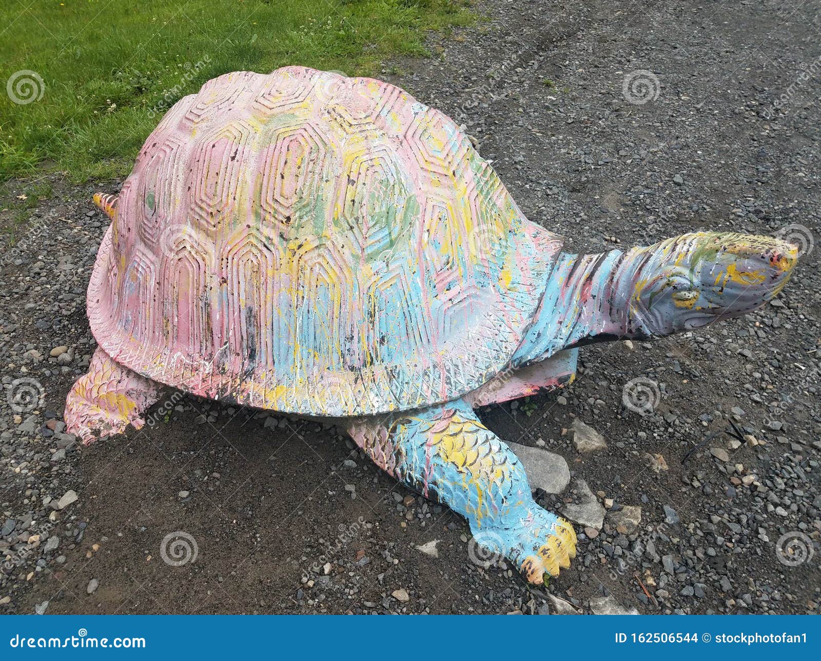 Large Turtle Or Tortoise Shell Painted On Gravel Path Stock Photo Image Of Wildlife Grass
